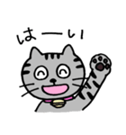 ねこのコキンさん。（個別スタンプ：7）