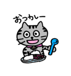 ねこのコキンさん。（個別スタンプ：11）