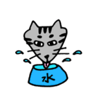 ねこのコキンさん。（個別スタンプ：16）