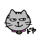 ねこのコキンさん。（個別スタンプ：17）