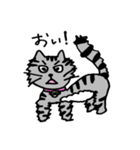 ねこのコキンさん。（個別スタンプ：22）