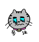 ねこのコキンさん。（個別スタンプ：24）