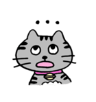 ねこのコキンさん。（個別スタンプ：31）