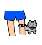 ねこのコキンさん。（個別スタンプ：34）