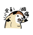 前に進もう！山豚！（個別スタンプ：13）
