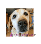 横顔なピース先輩（個別スタンプ：6）