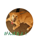 横顔なピース先輩（個別スタンプ：29）