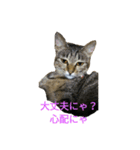 姉弟ねこさんサチユキ2（個別スタンプ：28）