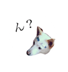 ばあちゃんすたんぷ（個別スタンプ：12）