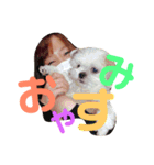 ✴︎Kakisaya  stamp✴︎（個別スタンプ：2）