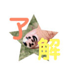 ✴︎Kakisaya  stamp✴︎（個別スタンプ：4）