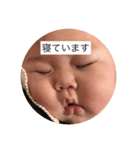 あおい①弾（個別スタンプ：5）