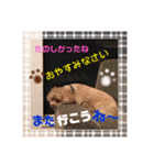 マルプーのだんごちゃん（個別スタンプ：10）