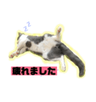 小梅ちゃん 1（個別スタンプ：1）