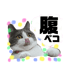 小梅ちゃん 1（個別スタンプ：2）