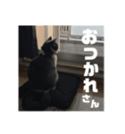 小梅ちゃん 1（個別スタンプ：4）