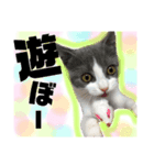 小梅ちゃん 1（個別スタンプ：5）