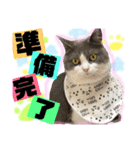 小梅ちゃん 1（個別スタンプ：7）