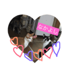 にゃんせな（個別スタンプ：7）