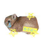 にゃんせな（個別スタンプ：8）