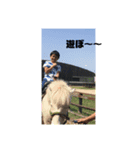 松本家族（個別スタンプ：5）