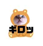 実家のねこちゃん（個別スタンプ：4）