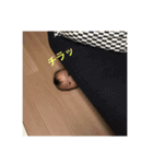 ぼぼスタンプ2（個別スタンプ：16）
