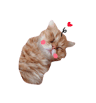 にゃんこ兄弟*（個別スタンプ：4）