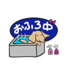 カニンヘンダックスフンドのなっちゃん（個別スタンプ：3）