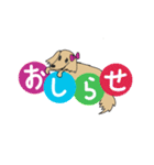 カニンヘンダックスフンドのなっちゃん（個別スタンプ：8）