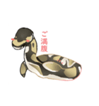 ハチュ好き（個別スタンプ：5）