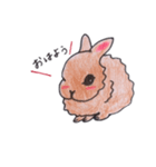 うさぎ ラム（個別スタンプ：1）