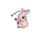 うさぎ ラム（個別スタンプ：6）