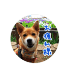 プルートちょび寧々第1弾（個別スタンプ：1）