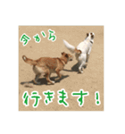 プルートちょび寧々第1弾（個別スタンプ：4）