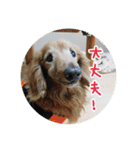 プルートちょび寧々第1弾（個別スタンプ：6）