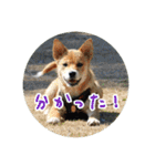 プルートちょび寧々第1弾（個別スタンプ：8）