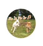 プルートちょび寧々第1弾（個別スタンプ：11）
