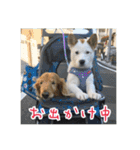 プルートちょび寧々第1弾（個別スタンプ：14）