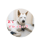 プルートちょび寧々第1弾（個別スタンプ：16）