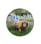 プルートちょび寧々第1弾（個別スタンプ：17）