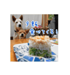 プルートちょび寧々第1弾（個別スタンプ：18）
