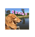 プルートちょび寧々第1弾（個別スタンプ：21）