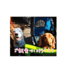 プルートちょび寧々第1弾（個別スタンプ：22）