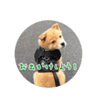 プルートちょび寧々第1弾（個別スタンプ：23）