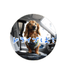 プルートちょび寧々第1弾（個別スタンプ：29）