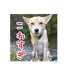 プルートちょび寧々第1弾（個別スタンプ：33）