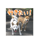 プルートちょび寧々第1弾（個別スタンプ：34）