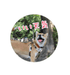 プルートちょび寧々第1弾（個別スタンプ：35）