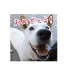 プルートちょび寧々第1弾（個別スタンプ：38）